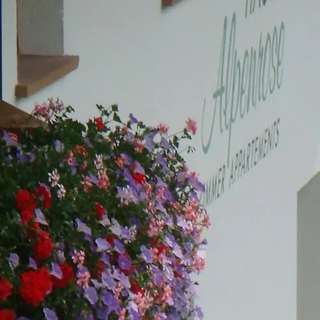 Alpenrose 3* سيرفاوس