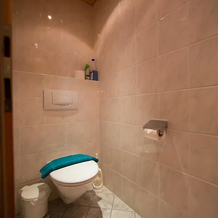 Alpenrose Guest house Serfaus