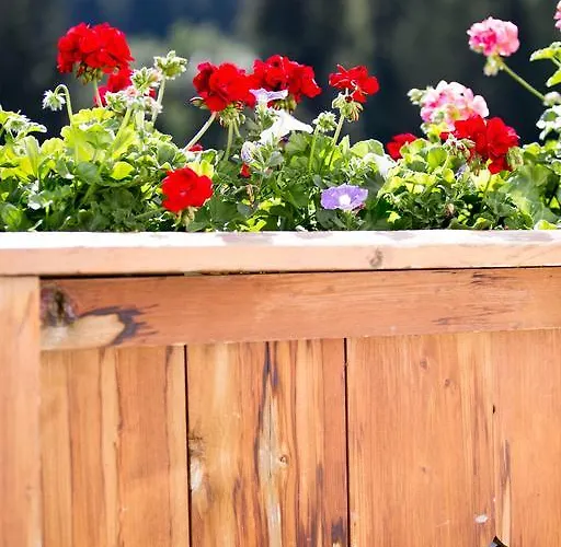 בית הארחה Alpenrose סרפהאוס